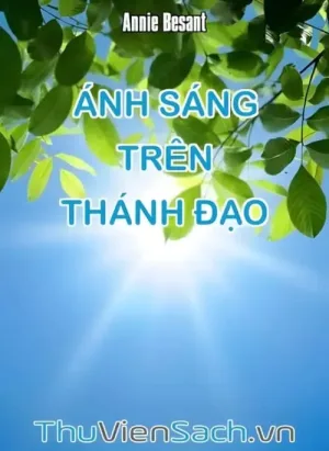 Ánh Sáng Trên Thánh Đạo