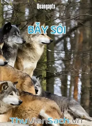 Bẫy Sói - Quangaptx