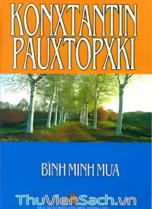 Bình Minh Mưa