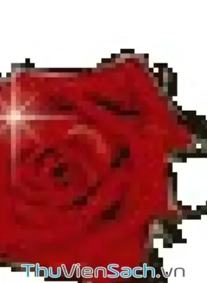 Bộ Tứ
