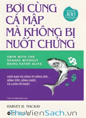 Bơi Cùng Cá Mập Mà Không Bị Nuốt Chửng
