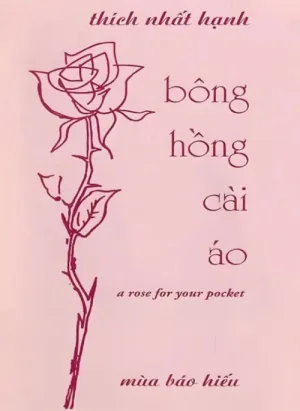 Bông Hồng Cài Áo