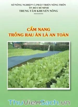 Cẩm Nang Trồng Rau Gia Vị An Toàn