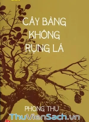 Cây Bàng Không Rụng Lá