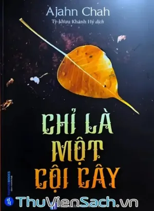 Chỉ Là Một Cội Cây