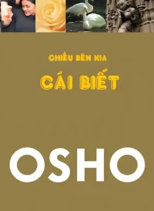 Chiều Bên Kia Cái Biết