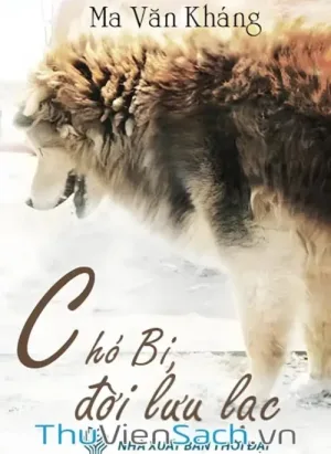 Chó Bi, Đời Lưu Lạc