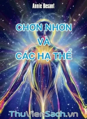 Chơn Nhơn Và Các Hạ Thể