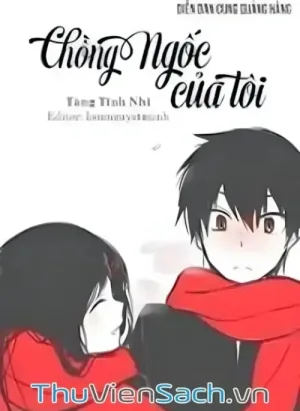Chồng Ngốc Của Tôi