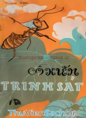 Cô Kiến Trinh Sát