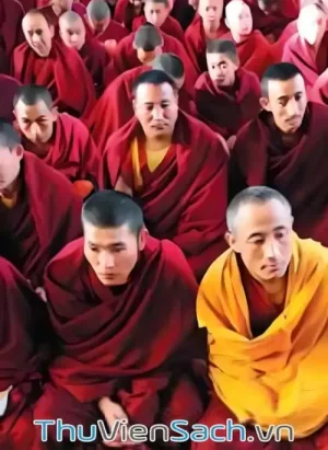 Đi Tìm Từ Bi