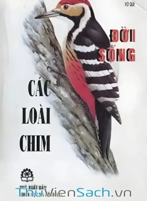 Đời Sống Của Các Loài Chim