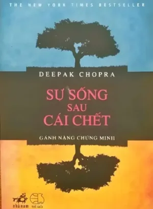 Đời Sống Sau Khi Chết