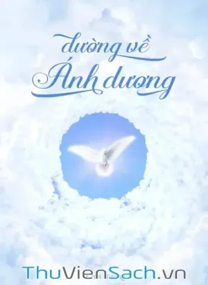 Đường Về Ánh Dương