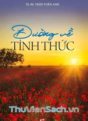 Đường Về Tỉnh Thức