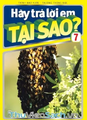 Hãy Trả Lời Em Tại Sao? - Tập 7