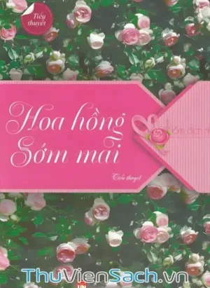 Hoa Hồng Sớm Mai