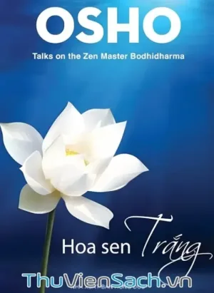 Hoa Sen Trắng