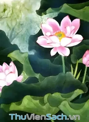 Hoa Sen Với Đạo Phật