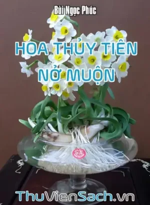 Hoa Thủy Tiên Nở Muộn