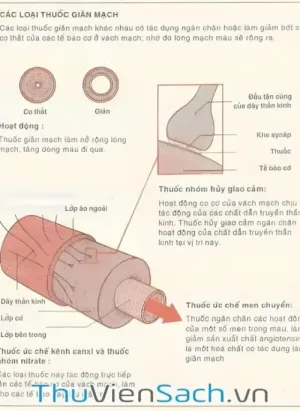 Khái Niệm Về Thuốc - Danh Mục Thuốc Gốc