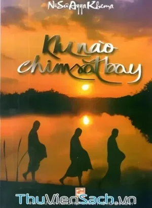 Khi Nào Chim Sắt Bay