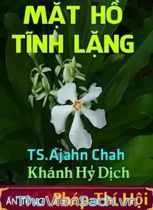 Mặt Hồ Tĩnh Lặng