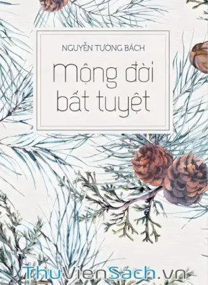 Mộng Đời Bất Tuyệt