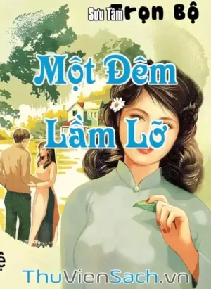 Một Đêm Lầm Lỡ