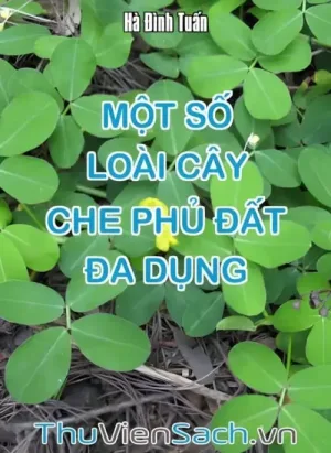 Một Số Loài Cây Che Phủ Đất Đa Dụng