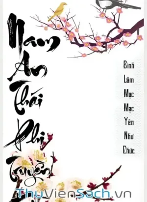 Nam An Thái Phi Truyền Kỳ