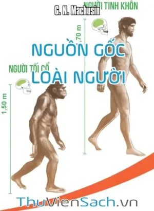 Nguồn Gốc Loài Người