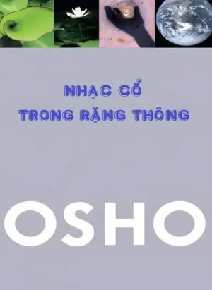 Nhạc Cổ Trong Rặng Thông