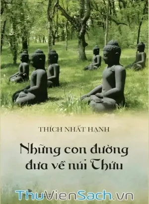 Những Con Đường Đưa Về Núi Thứu