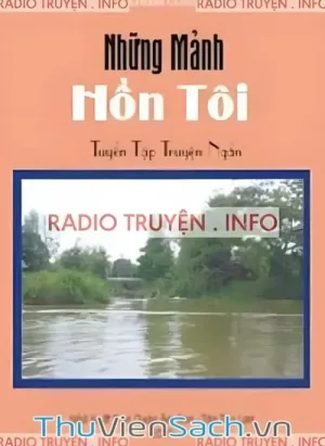 Những Mảnh Hồn Tôi