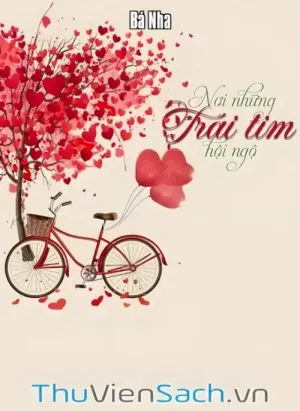 Nơi Những Trái Tim Hội Ngộ