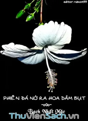 Phiến Đá Nở Ra Hoa Dâm Bụt