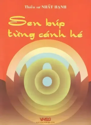 Sen Búp Từng Cành Hé