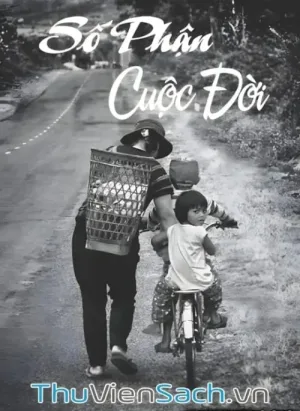 Số Phận Cuộc Đời