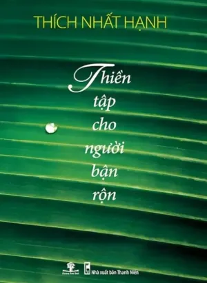 Thiền Tập Cho Người Bận Rộn