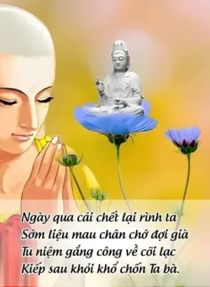Thời Khóa Tu Tập Thời Đức Phật