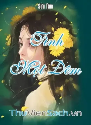 Tình Một Đêm