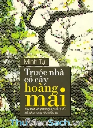 Trước Nhà Có Cây Hoàng Mai