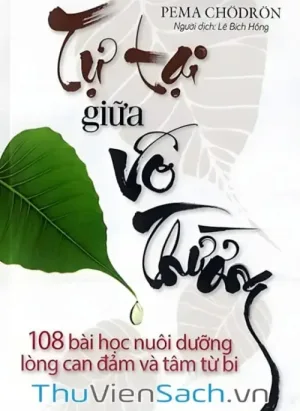 Tự Tại Giữa Vô Thường
