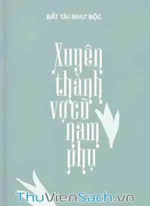 Xuyên Thành Vợ Cũ Nam Phụ